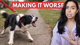 Thumbnail: STOP Listening to TRAINERS 😬 This FIXED barking & leash pulling