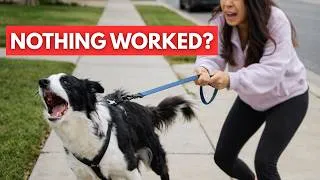 Thumbnail: STILL Barking & Lunging on Leash!? 😩 Start Here!