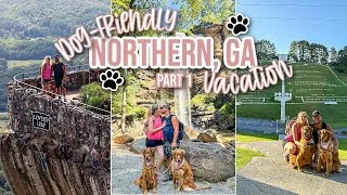 Thumbnail: Northern Georgia Hiking & Waterfall Chasing *Dog Friendly Travel Vlog* (Part 1)