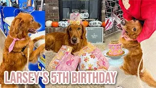 Thumbnail: My Golden Retrievers 5th Birthday Shopping Spree | Larsey's 5th Birthday Special