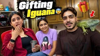 Thumbnail: Raksha Bandhan ka Gift 🎁 Iguana !!🦎😰 Rachit Rojha Vlogs