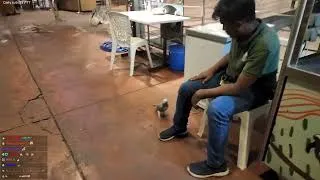 Thumbnail: #jinnytty on #Twitch | Where's that Chocobo sound coming from? PogChamping
