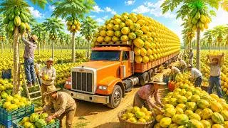 Thumbnail: How Brazilian Farmers Grow, Harvest and Process Millions of Papayas | Full Documentary