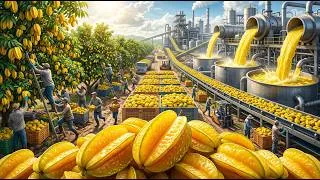 Thumbnail: Massive Star Fruit Harvesting | How Millions of Star Fruits Are Processed Daily