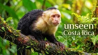 Thumbnail: Inside Costa Rica’s Hidden Rainforests: Jaguars, Volcanoes & Rare Wildlife
