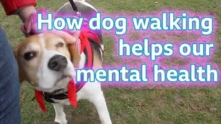 Thumbnail: 'How dog walking helps my mental health'