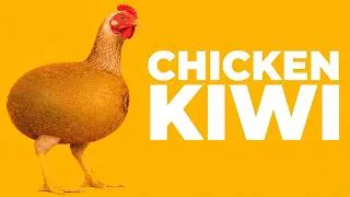 Thumbnail: CHICKEN KIWI