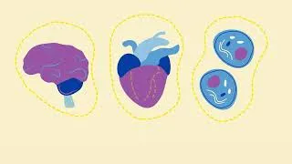 Thumbnail: Whole Genome Sequencing for Children: What Families Should Know Before Testing