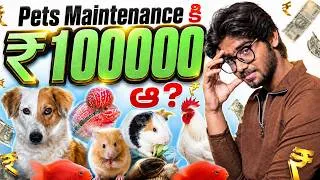 Thumbnail: My Mini Zoo🐶🐔🐠 - Total Maintenance Cost💸 | Calculating Everything from Zero✅️ #pets #trending #viral