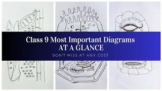 Thumbnail: Class 9 Most Important Diagrams at a Glance | You Must Practice | How to Draw Easily