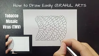 Thumbnail: How to Draw Tobacco Mosaic Virus (TMV)