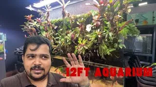 Thumbnail: Inside Kolkata's Most Beautiful Aquarium Gallery | Aquascaping Inspiration & Fish Tanks