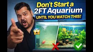 Thumbnail: BEST 2FT AQUARIUM SETUP GUIDE (2026) || Beginner to PRO in 10 Minutes