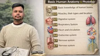 Thumbnail: Human Anatomy Full Course | Skeleton, Muscle, Digestive, Heart & Brain System | Hindi