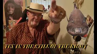 Thumbnail: TEX WITH WHITESNAKE IN THE STILL OF THE NIGHT