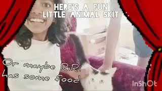 Thumbnail: Snowball’s and Coco’s hunt for food! Funny animal skit made for you!