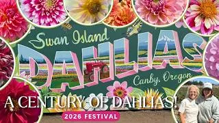 Thumbnail: 🌸 100 Years of Dahlias! | Must See Tour of the Swan Island Dahlias Festival in Canby, Oregon 🌿