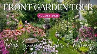 Thumbnail: 🌸 August Front Garden Tour 2026 | FULL COLOR Cottage Garden at Peak Summer Bloom! 🌿