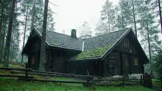 Thumbnail: Calming Rain Ambience White Noise Sounds to Ease Stress and Calm the Mind