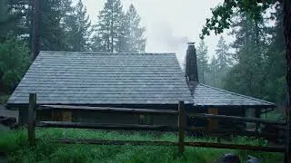 Thumbnail: Peaceful Rain Ambience White Noise for Calm Focus and Restful Sleep