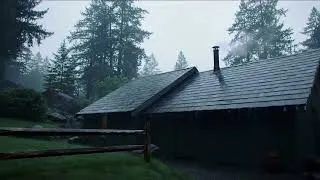 Thumbnail: Deep Rain Ambience White Noise Sounds to Help You Sleep Deeply and Relax