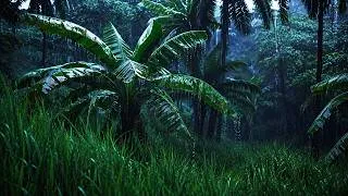 Thumbnail: (No Ads) Sleep INSTANTLY Heavy Forest Rain Sounds | Reduce Anxiety, Ease Insomnia, Deep Relaxation