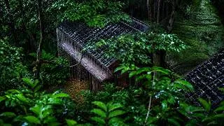 Thumbnail: 99% Fall Asleep Instantly with Rain Sounds | Rain ASMR for Deep Sleep, Insomnia Relief & Relaxation