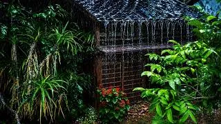 Thumbnail: (NO ADS) Sleep INSTANTLY with Perfect Rain sound In the Forest🌧️Stress Relief, Relax & Sleep Deeply