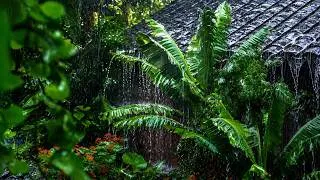 Thumbnail: Listen To The Rain On Forest Leaves For Relax, Reduce Anxiety And Sleep Deeply | The Best 1 Hour #07