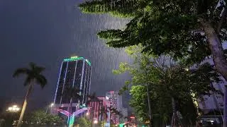 Thumbnail: Soothing Piano Music with Rain Sounds | Deep Sleep, Relaxation & Anxiety Relief