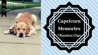Thumbnail: Cappy Memories