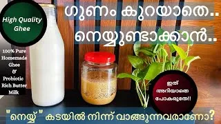 Thumbnail: നെയ്യ് ഉണ്ടാക്കുമ്പോൾ ശ്രദ്ധിക്കേണ്ട കാര്യങ്ങൾ |Homemade Desi Cow Ghee |A2 Ghee |Rajatha Jithesh
