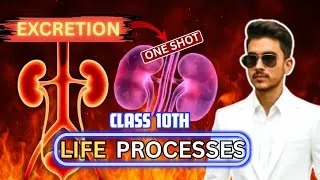 Thumbnail: Life Processes Class 10 | Excretion Explained Super Easy | NCERT Science Chapter 5