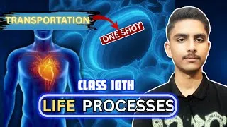 Thumbnail: Class 10 Life Processes | Transportation in Humans & Plants | One Shot 🔥 | CBSE 2026 Boards