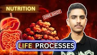 Thumbnail: Life Processes Class 10 Part 1 🔥| Nutrition Explained in One Shot | NCERT Science boards | CBSE 2026
