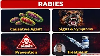 Thumbnail: Rabies | Pathophysiology | Causative agent | Incubation Period | Sign & Symptom | Tests | Prevention