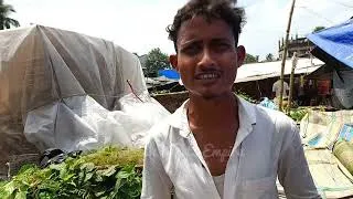 Thumbnail: Recent Flying pigeon price update at uluberia pet market on 22.08.26 | Uluberia Pet Market 