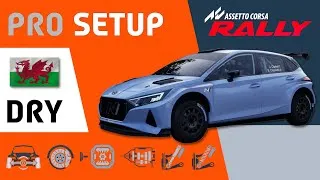 Thumbnail: Hyundai i20 Rally2 | Wales - PRO SETUP [AC RALLY]