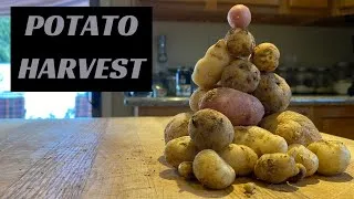 Thumbnail: Harvesting Potatoes, a Learning Experience