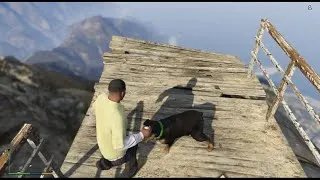 Thumbnail: Chop’s last adventure