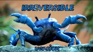 Thumbnail: Crab Rave Irreversible Version (Edits)