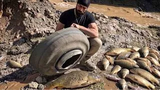 Thumbnail: I went fishing and cooked the fish I caught over a solar oven.