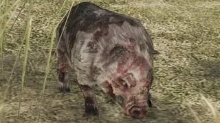 Thumbnail: 1 in 1000