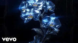Thumbnail: Vandal Zenith - Asphalt Orchids Under Mercury (Audio)
