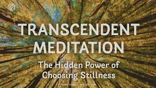 Thumbnail: Guided Transcendence Meditation | Regulate Your Nervous System & Find Stillness