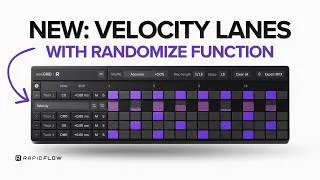 Thumbnail: FREE MiniGRID Update: Velocity Per Lane + MIDI Export Are Finally Here!