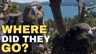 Thumbnail: Sandy and Luna: Where Are They Now?