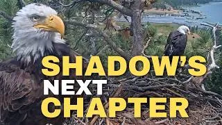 Thumbnail: Is Shadow Leaving Big Bear? And Who Is KD1(Kaydee)?