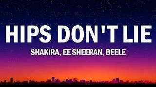 Thumbnail: Flo Rida feat. Sia - Wild Ones (Lyrics)