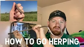 Thumbnail: How to go herping! Techniques I use to find snakes